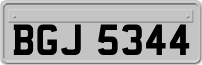 BGJ5344