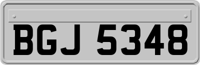 BGJ5348
