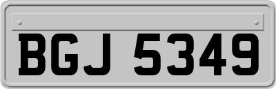 BGJ5349