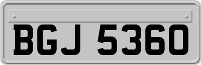 BGJ5360