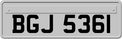 BGJ5361