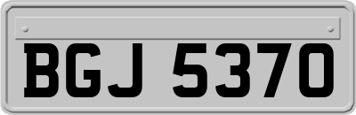 BGJ5370