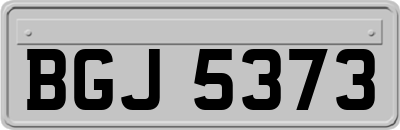 BGJ5373