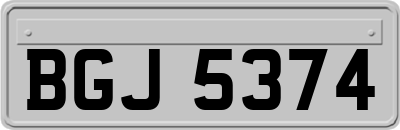 BGJ5374
