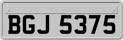 BGJ5375