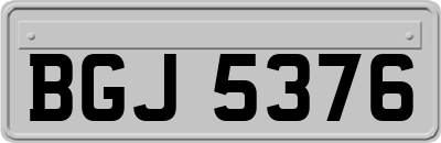 BGJ5376
