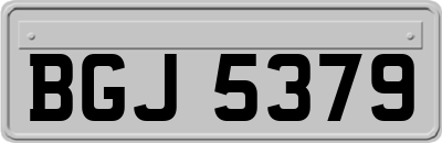 BGJ5379