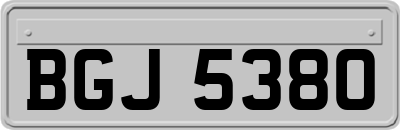BGJ5380