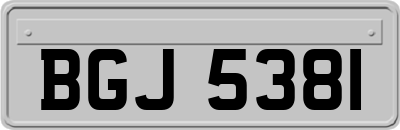 BGJ5381