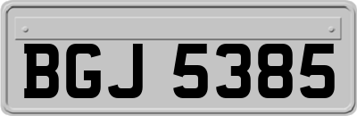 BGJ5385