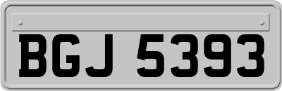 BGJ5393