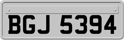 BGJ5394