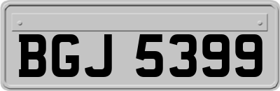 BGJ5399