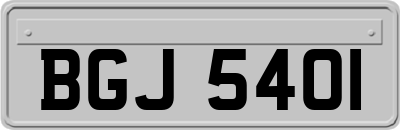 BGJ5401