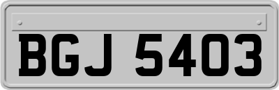 BGJ5403