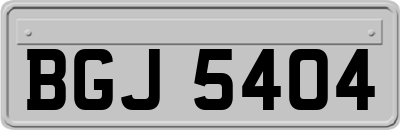BGJ5404