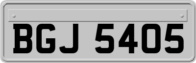 BGJ5405