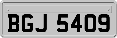 BGJ5409