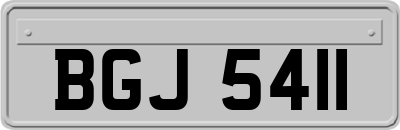 BGJ5411