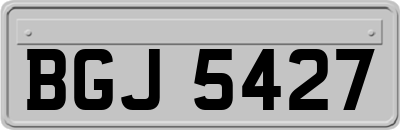 BGJ5427
