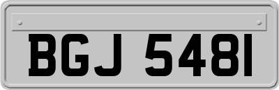BGJ5481