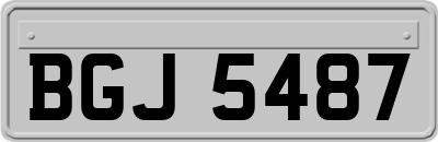 BGJ5487