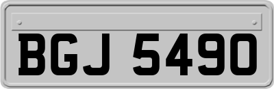 BGJ5490