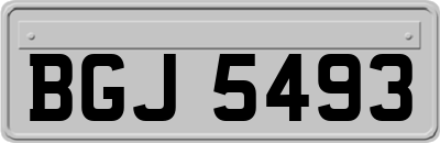 BGJ5493