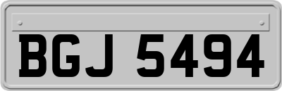 BGJ5494