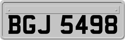 BGJ5498
