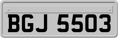 BGJ5503