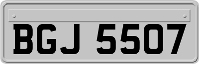 BGJ5507