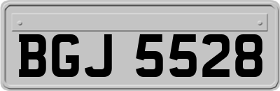 BGJ5528