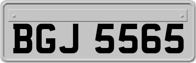 BGJ5565