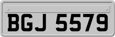 BGJ5579