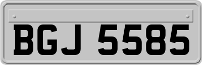 BGJ5585