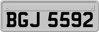 BGJ5592