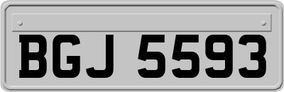 BGJ5593
