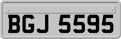 BGJ5595
