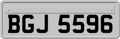 BGJ5596