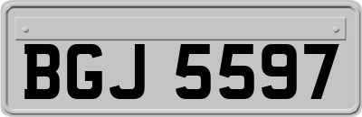 BGJ5597