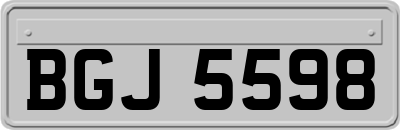 BGJ5598