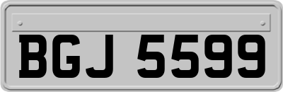 BGJ5599