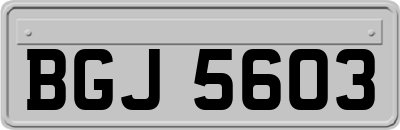 BGJ5603
