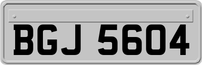 BGJ5604
