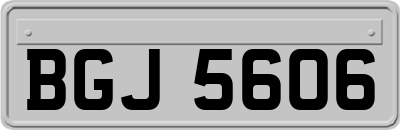BGJ5606
