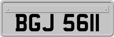 BGJ5611