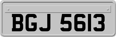 BGJ5613