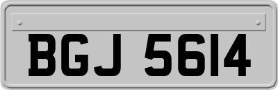 BGJ5614