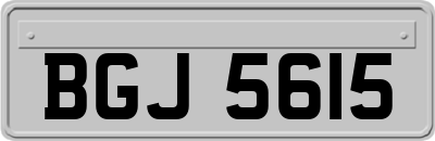 BGJ5615